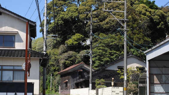 広い戸建て